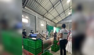 Mesin Cuci Gelombang Udara